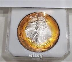1993 American Silver Eagle! Bu+++ Condition! Beautiful Golden Toned Pci