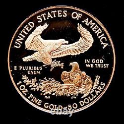 2006-w $50 Gold American Eagle? Icg Pr-70? Proof First Strike 1 Oz? Trusted