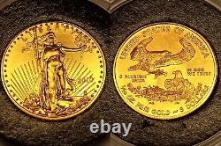 2010 1/10 oz Gold American Eagle BU