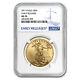 2017 1 Oz Gold American Eagle Ms-70 Ngc (early Releases)
