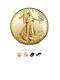 2021-w 1 American Eagle One Ounce Gold Proof Coin (21ebn)type 2 Order Confirmed