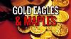 American Gold Eagles U0026 Canadian Maple Leafs Which I Prefer To Stack U0026 Why Precious Metal Coins