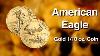 The American Eagle Gold 1 10 Oz Coin