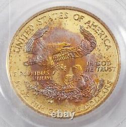 2005 1/10oz Gold American Eagle Tond Pcgs Gem Brillant Non Circulé $5 Bu