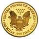 Aigle D'or Américain Liberty Gold Coin